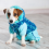 Pets Clothings bhopal Pets online